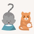 Cute cats character different pose funny animal domestic kitten vector illustration.