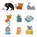 Cute cats character different pose funny animal domestic kitten vector illustration.