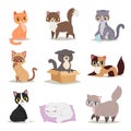 Cute cats character different pose vector