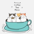 Cute Cats In The Cup. Coffee Time.