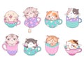 Cute cats in cup. Kitten coffee cups, cartoon isolated kitty in tea mug. Kawaii adorable animals, baby sweet stickers