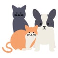 Cute cats and dog mascots adorables characters Royalty Free Stock Photo