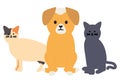 Cute cats and dog mascots adorables characters Royalty Free Stock Photo