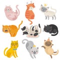 Cute cats faces. Hand drawn characters. Sweet funny kittens