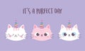 Cute cats faces with horns cartoon animal funny character