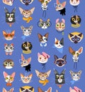 Cute cats head vector seamless pattern. Funny cat characters with glasses, hat and bow. Isolated on blue background Royalty Free Stock Photo