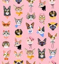 Cute cats head vector seamless pattern. Funny cat characters with glasses, hat and bow. Isolated on pink background Royalty Free Stock Photo