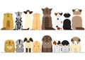 Cute cats looking up and down border set