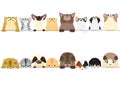 Cute cats looking up and down border set