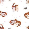 Cute cats, love kitties couples, seamless pattern. Feline meow valentines, repeating print. Endless romantic background