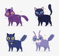 Cute cats portrait fluffy young adorable domestic cartoon animal, collection pets