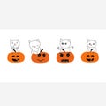 Cute cats with pumpkins. Happy Halloween greeting card
