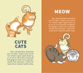 Cute cats that say meow promotional vertical posters Royalty Free Stock Photo