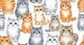 Cute Cats Seamless Pattern Royalty Free Stock Photo