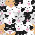 Cute cats seamless pattern. Animal pattern. Cartoon character of a happy cat. Funny cat face. Colorful background Royalty Free Stock Photo