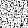 Cute cats seamless vector pattern. Fluffy purebred and outbred kittens with paw prints. Tabby, spotted black and white