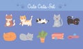 cute cats set, different feline with toys food and plant
