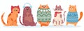 Cute cats in sweater. Happy fat kittens for new year and christmas vector banner. Xmas domestic kitty in scarf