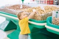 Cute Caucasian baby child choosing nut in supermarket. Funny toddler boy in a grocery store packing produce. Healthy tasty summer Royalty Free Stock Photo