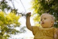 Cute caucasian blonde baby girl about 1 year old touching plant, tree in park, forest, bottom view, in summer, beginning Royalty Free Stock Photo