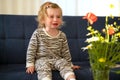 Cute caucasian blonde sad disappointed baby girl,toddler, infant, adorable kid 1,2 years old sitting on sofa crying in