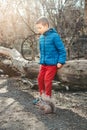 Cute Caucasian boy feeding grey squirrel in park. Adorable little kid giving food nuts to wild animal in forest. Child learning