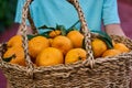 Cute caucasian boy wicker basket full of fresh orange fruits Royalty Free Stock Photo