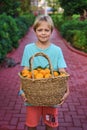 Cute caucasian boy wicker basket full of fresh orange fruits Royalty Free Stock Photo