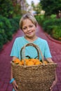 Cute caucasian boy wicker basket full of fresh orange fruits Royalty Free Stock Photo