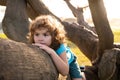 Cute caucasian kid boy happily lying in a tree hugging a big branch. Child climbing a tree. Royalty Free Stock Photo