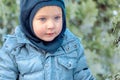 Cute caucasian liittle boy with bright blue eyes in winter clothes and hat hood on blue pine and fir background. Healthy childho