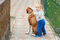 Cute caucasian toddler boy hugging and petting old pointer dog during walk at backyard on bright sunny day. Friendship Royalty Free Stock Photo
