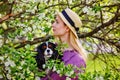 Cute Cavalier King Charles Spaniel in the arms of a loving hostess in the park against the background of a flowering tree. A Royalty Free Stock Photo