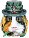 Watercolor portrait of abyssinian guinea pig in olive hat with raven skull and feathers on white background Royalty Free Stock Photo