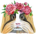 Watercolor portrait of Sheltie Guinea Pig with freesia wreath on white background