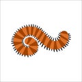 Cute Centipede animal cartoon character vector.