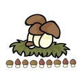 Cute ceps mushroom cartoon vector illustration motif set. Hand drawn edible porcini fungi