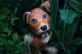 Cute ceramic garden dog figure in evening spring garden after rain Royalty Free Stock Photo