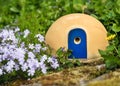 Cute ceramic house with attractive blue door for nesting bumble bees on a spring garden around carpet phlox flowers. Royalty Free Stock Photo