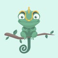 Cute chameleon. Royalty Free Stock Photo