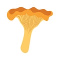 Cute chanterelle mushroom design element Royalty Free Stock Photo