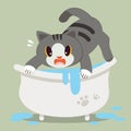 A Cute character cartoon cat afraid on bathtub