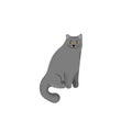 Cute character cartoon style of cat. Icon of british shorthair breed for different design.