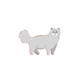 Cute character cartoon style of cat. Icon of persian breed for different design.