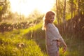 Cute charming girl in summer in the field. Young woman is happy and feels free outdoors. Royalty Free Stock Photo
