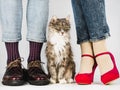 Cute, charming kitten and Legs of a young couple Royalty Free Stock Photo