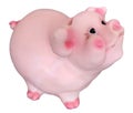 Cute charming piggy toy piggy bank, symbol 2019