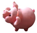 Cute charming piggy toy piggy bank, symbol 2019