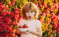 Cute cheerful child eats strawberries. The schoolboy is eating healthy food. Happy childhood concept. Happy little Royalty Free Stock Photo