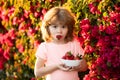 Cute cheerful child eats strawberries. The schoolboy is eating healthy food. Happy childhood concept. Happy little Royalty Free Stock Photo